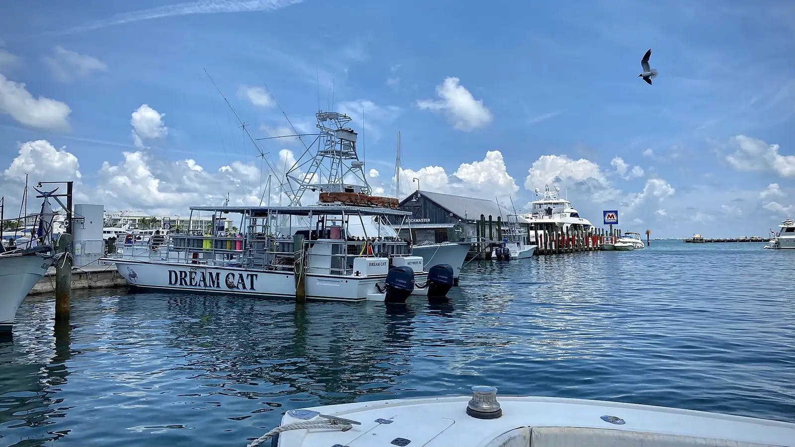 Boats docked under a blue sky at Key West Bight Marina